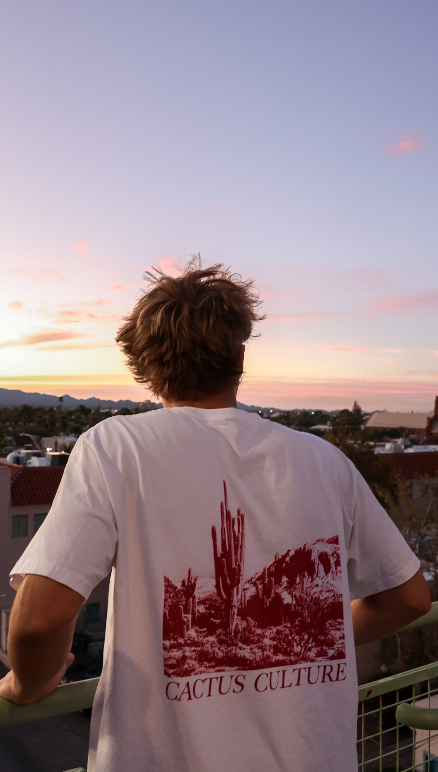 Cactus Culture Desert Silhouette Red