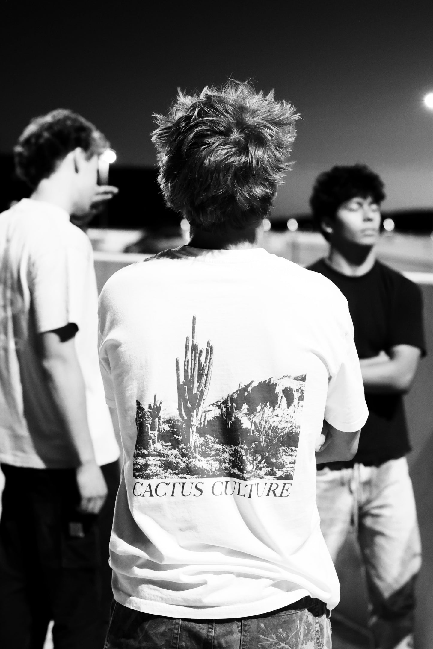 Cactus Culture Desert Silhouette Red