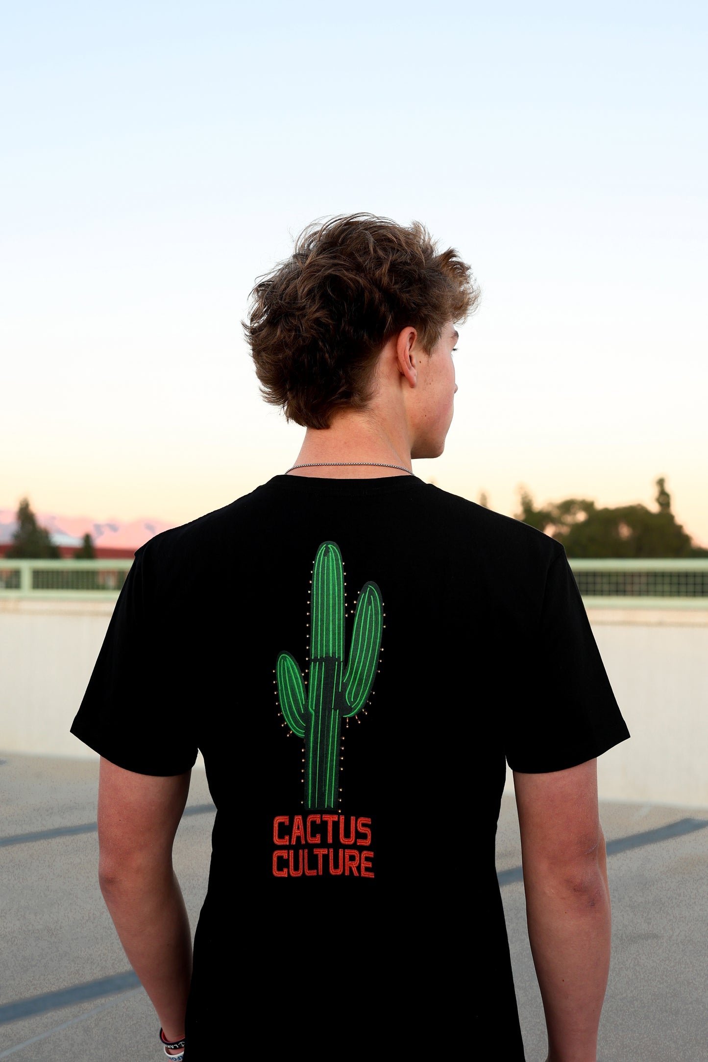 Cactus Culture Tucson Neon